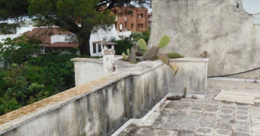 casa indipendente in vendita a Cerveteri in zona Marina di Cerveteri