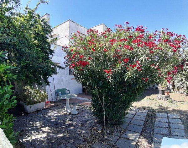 casa indipendente in vendita a Cerveteri