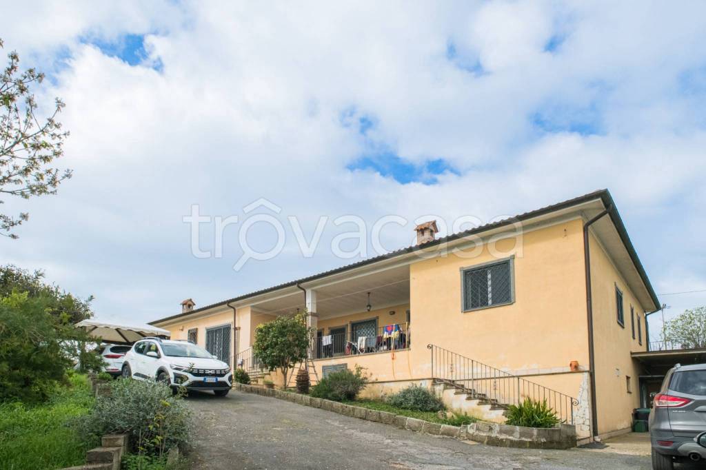 negozio in vendita a Cerveteri