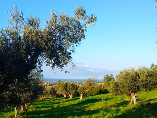 casa indipendente in vendita a Cerveteri in zona Marina di Cerveteri
