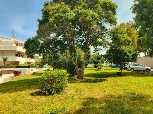 appartamento in vendita a Cerveteri in zona Marina di Cerveteri