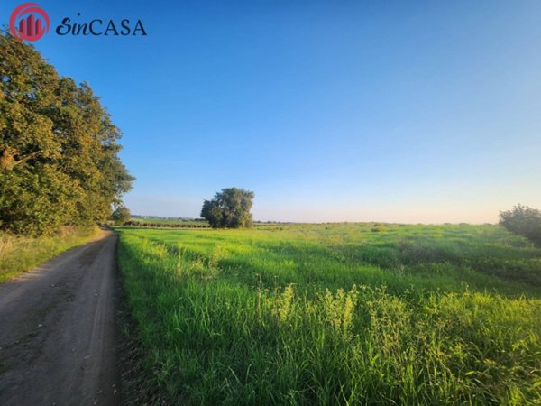 casa indipendente in vendita a Cerveteri in zona Marina di Cerveteri