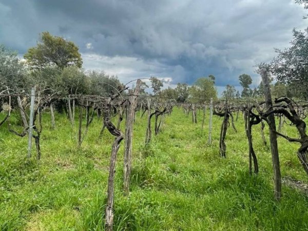 casa indipendente in vendita a Cerveteri in zona Sasso