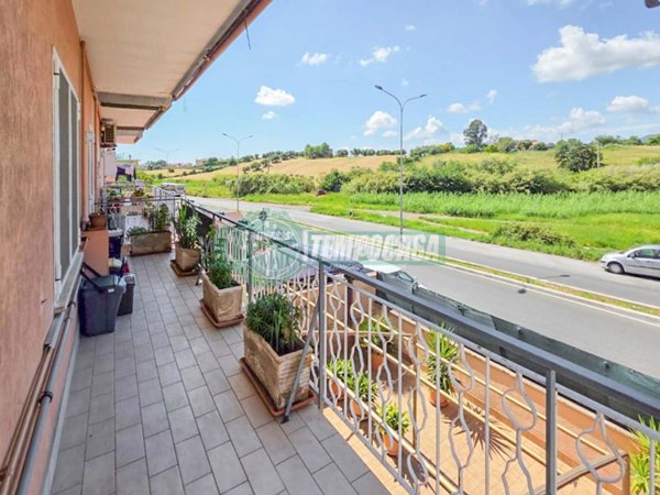 appartamento in vendita a Cerveteri