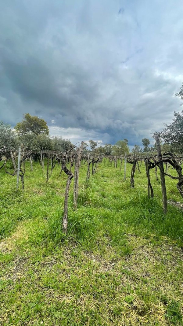 quadrivano in vendita a Cerveteri