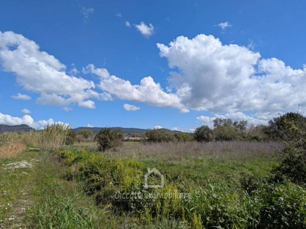 terreno agricolo in vendita a Cerveteri in zona Furbara