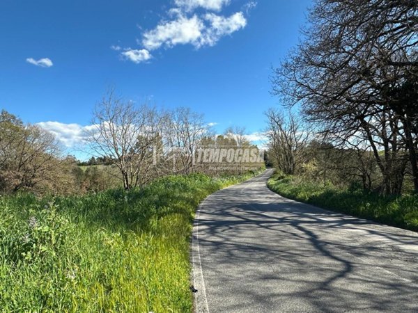 terreno agricolo in vendita a Cerveteri