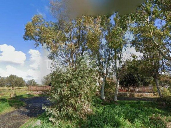 terreno agricolo in vendita a Cerveteri in zona Ceri