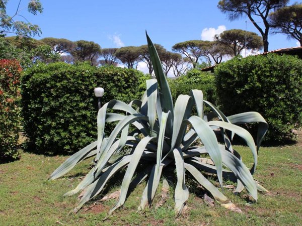 casa indipendente in vendita a Cerveteri in zona Valcanneto