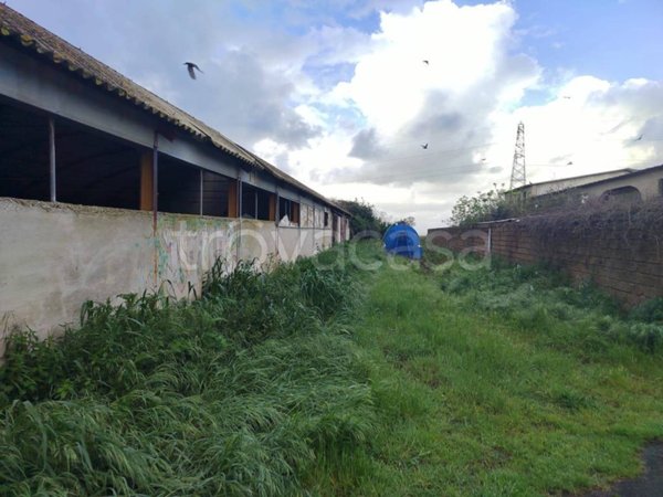 appartamento in vendita a Cerveteri in zona Ceri