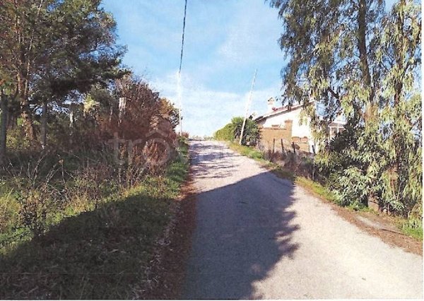 azienda agricola in vendita a Cerveteri in zona Sasso