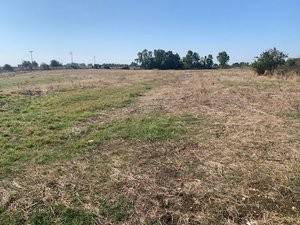 azienda agricola in vendita a Cerveteri in zona Sasso