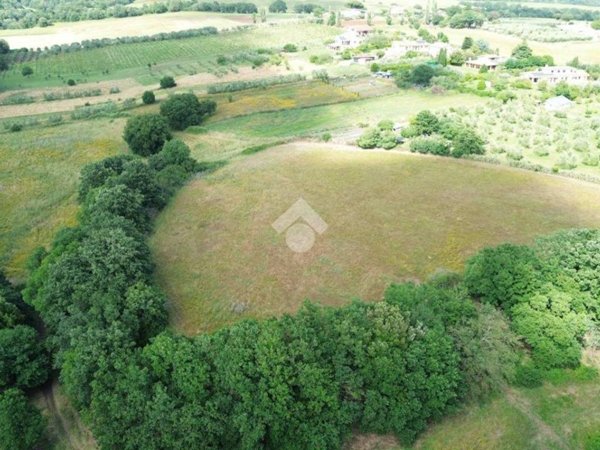 terreno agricolo in vendita a Cerveteri in zona Ceri