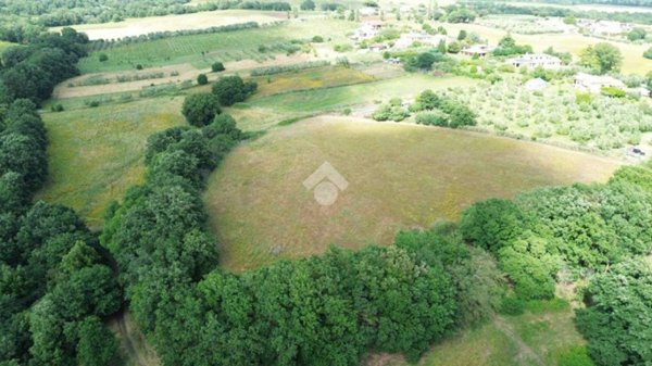 terreno agricolo in vendita a Cerveteri in zona Ponte Coperto