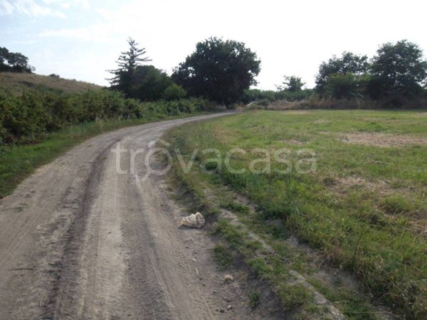 terreno agricolo in vendita a Cerveteri