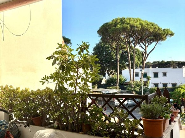 appartamento in vendita a Cerveteri in zona Marina di Cerveteri