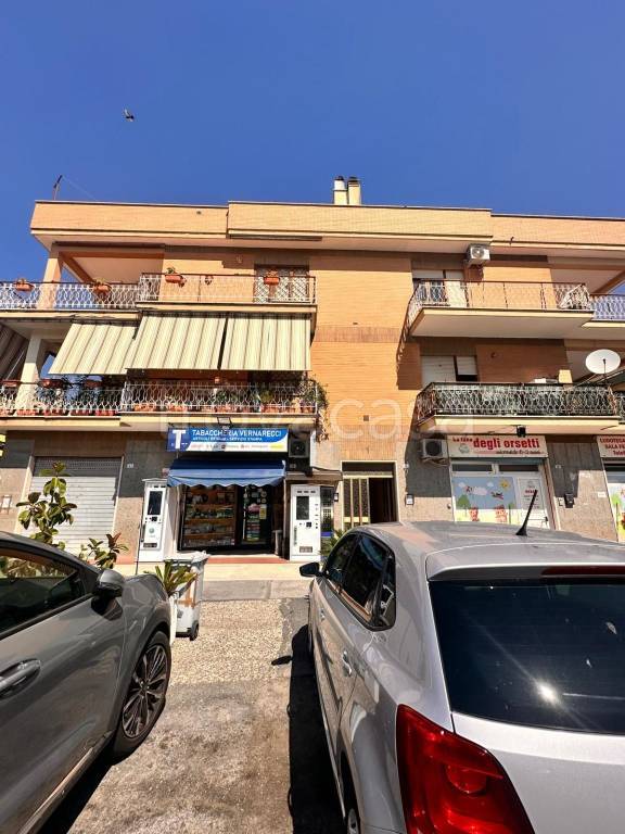 appartamento in vendita a Cerveteri
