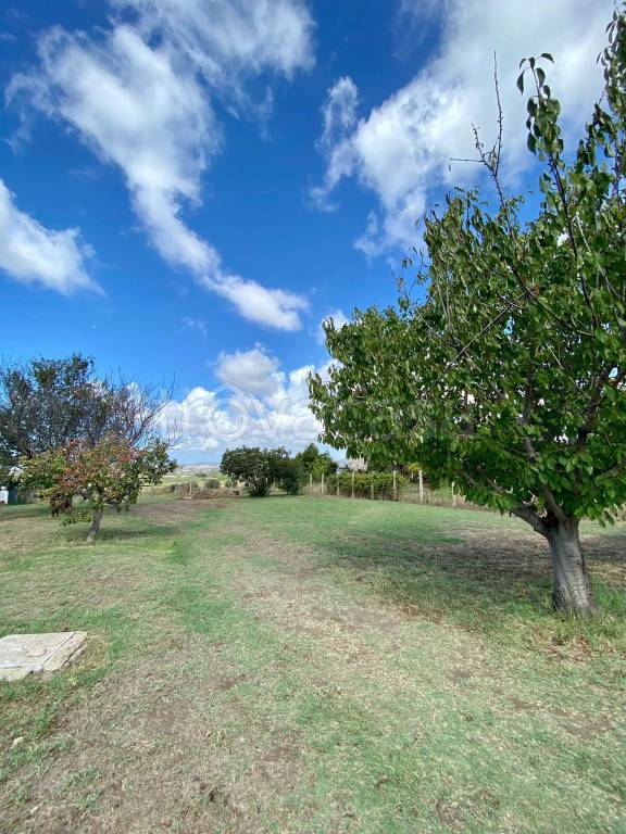 locale commerciale in vendita a Cerveteri