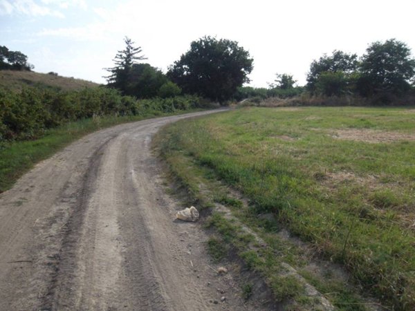terreno agricolo in vendita a Cerveteri in zona Valcanneto