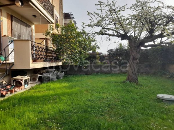 appartamento in vendita a Cerveteri