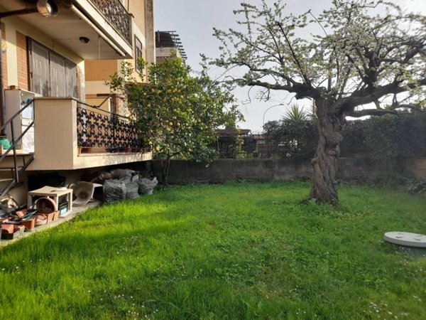 appartamento in vendita a Cerveteri