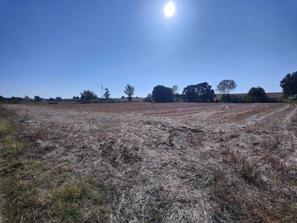 terreno agricolo in vendita a Cerveteri