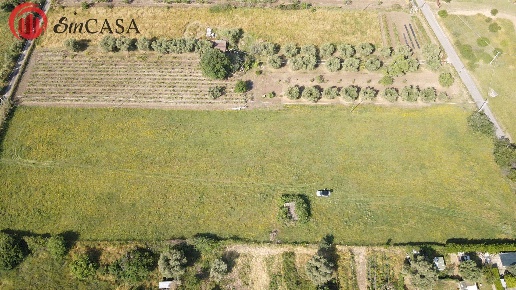 casale in vendita a Cerveteri