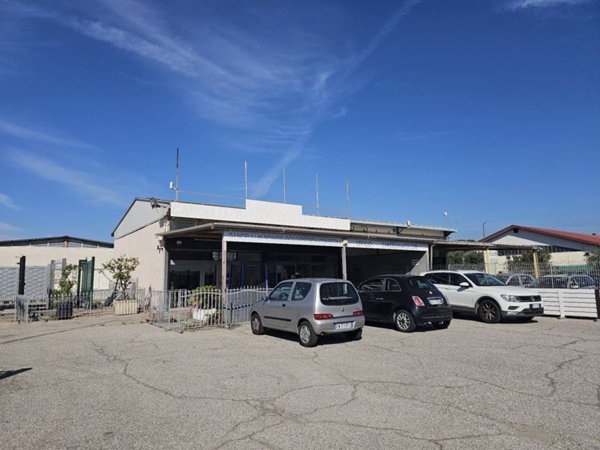 negozio in vendita a Cerveteri