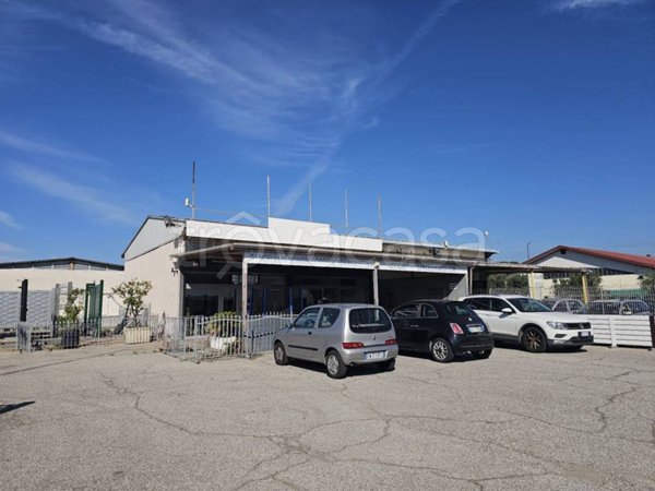 negozio in vendita a Cerveteri