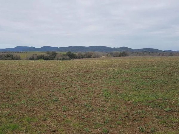 terreno agricolo in vendita a Cerveteri in zona San Martino