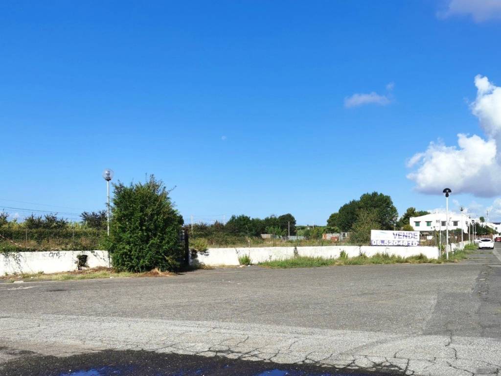 terreno agricolo in vendita a Cerveteri in zona Cerenova