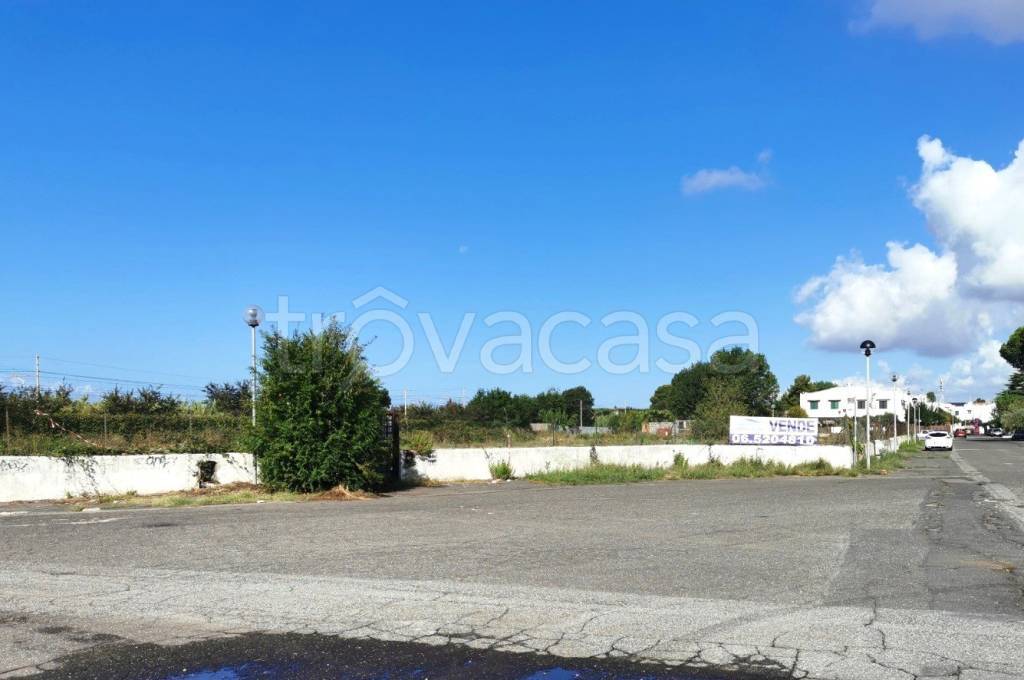 ufficio in vendita a Cerveteri in zona Cerenova