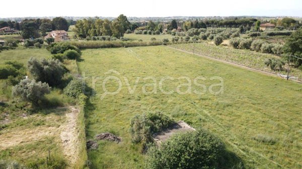 appartamento in vendita a Cerveteri