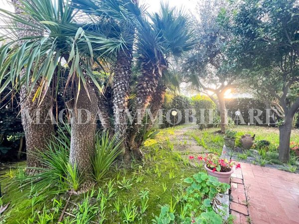 casa indipendente in vendita a Cerveteri in zona Marina di Cerveteri