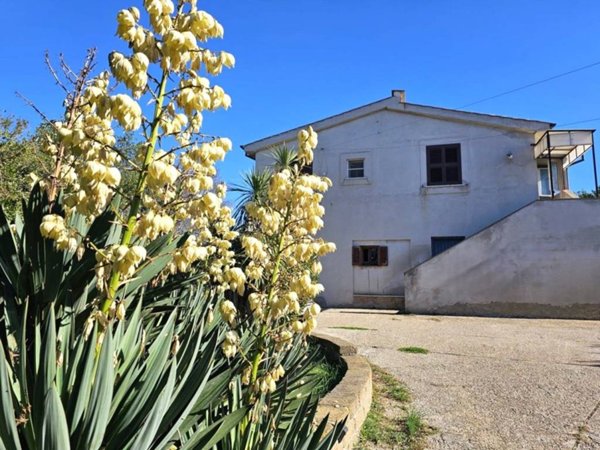 casa indipendente in vendita a Cerveteri in zona Ceri