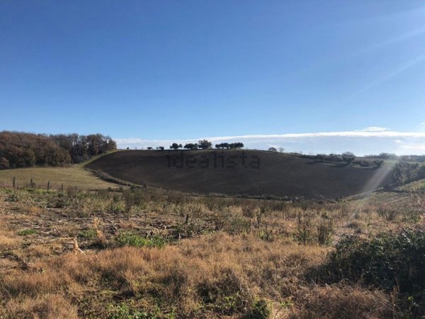 terreno agricolo in vendita a Cerveteri