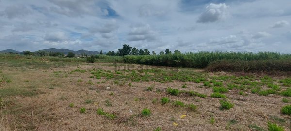 terreno agricolo in vendita a Cerveteri