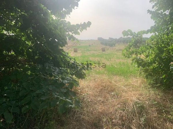 casa indipendente in vendita a Cerveteri