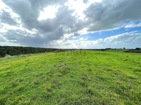 terreno agricolo in vendita a Cerveteri