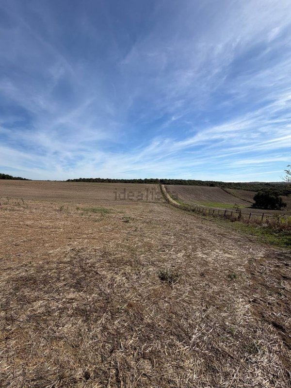 terreno in vendita a Cerveteri