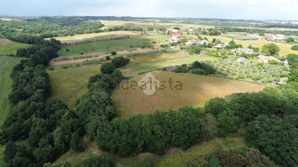 terreno agricolo in vendita a Cerveteri in zona Ponte Coperto