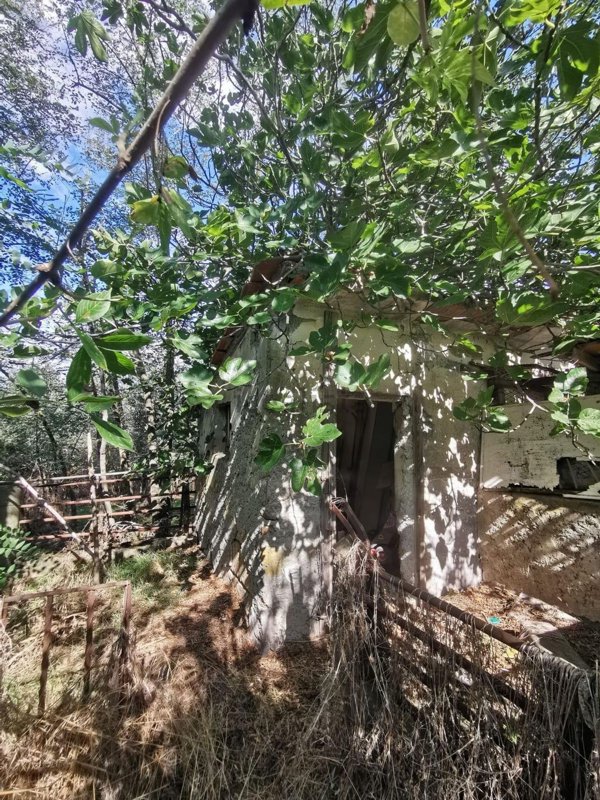terreno agricolo in vendita a Cerveteri