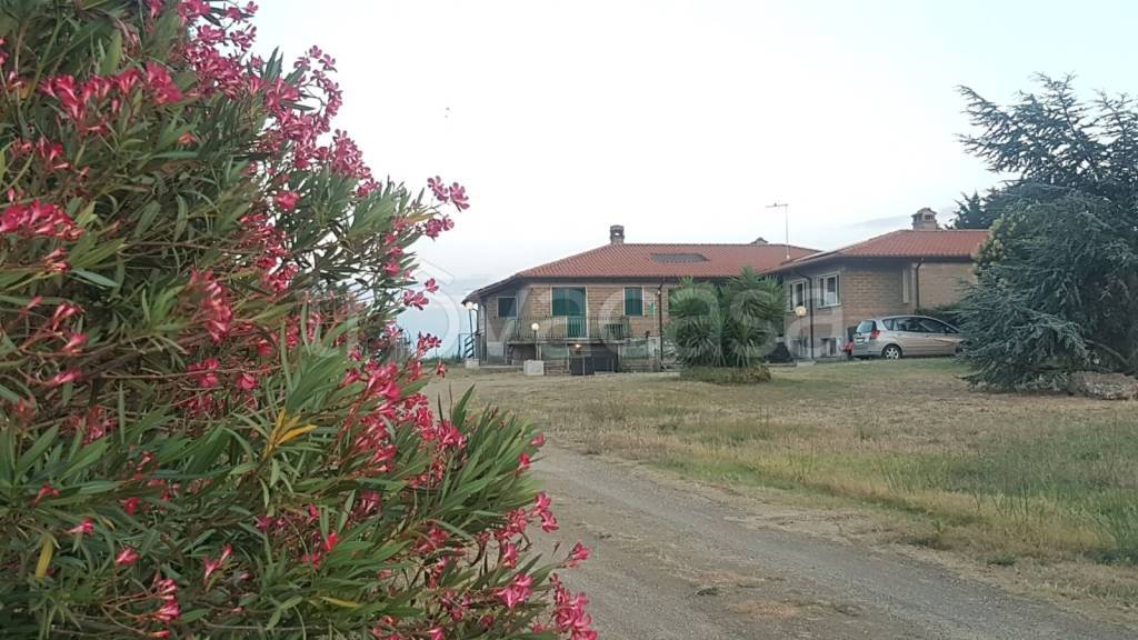casa indipendente in vendita a Cerveteri in zona Sasso