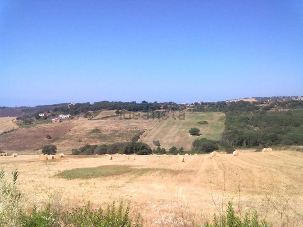 terreno agricolo in vendita a Cerveteri in zona Sasso
