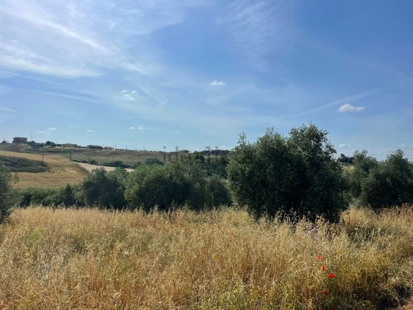 terreno agricolo in vendita a Cerveteri in zona Valcanneto