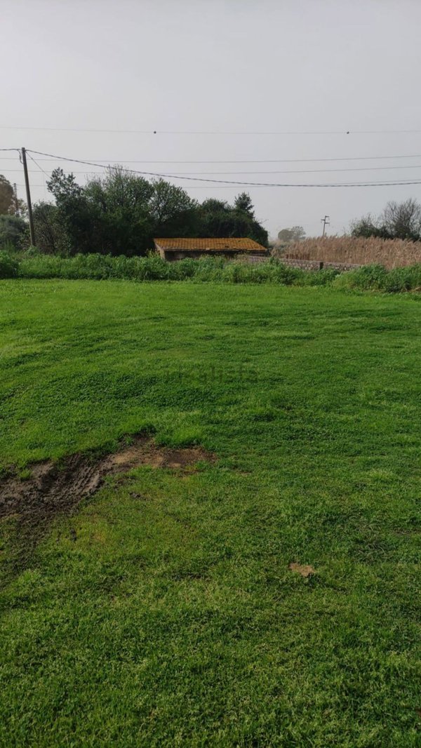 terreno agricolo in vendita a Cerveteri in zona Furbara