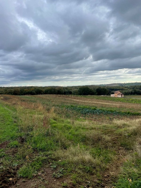 terreno agricolo in vendita a Cerveteri
