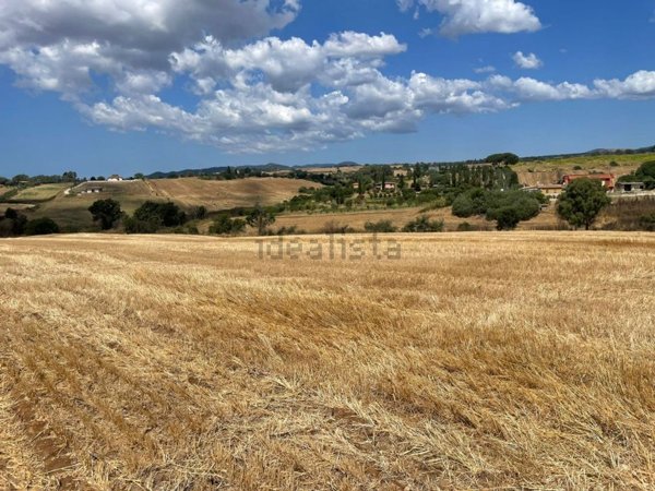 terreno agricolo in vendita a Cerveteri