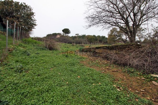 terreno agricolo in vendita a Cerveteri in zona Cerqueto