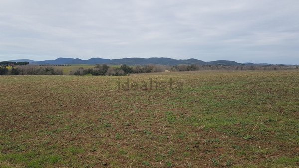 terreno agricolo in vendita a Cerveteri in zona Cerenova